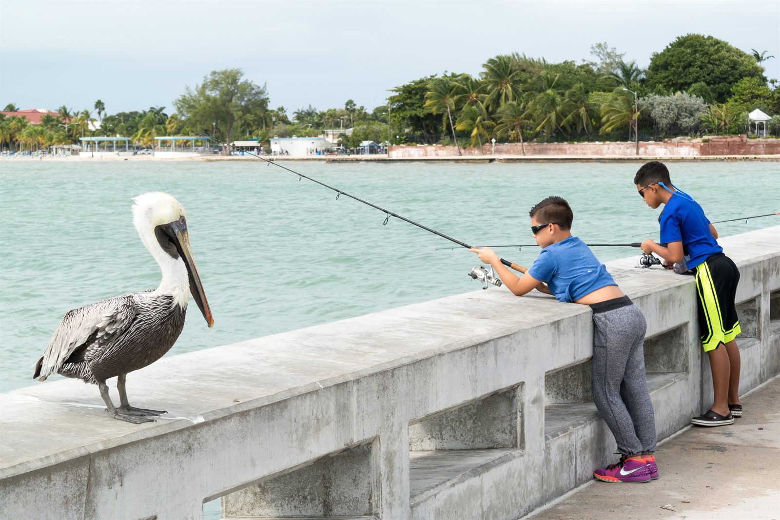 Two boys fishing from a concrete seawall next to a brown pelican