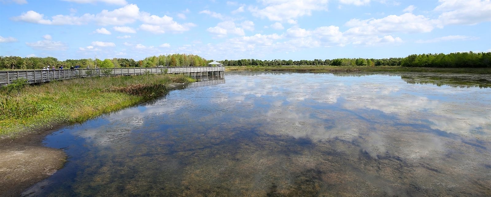 A shallow freshwater marsh reflecting clouds, with a boardwalk and pavilion along the far edge