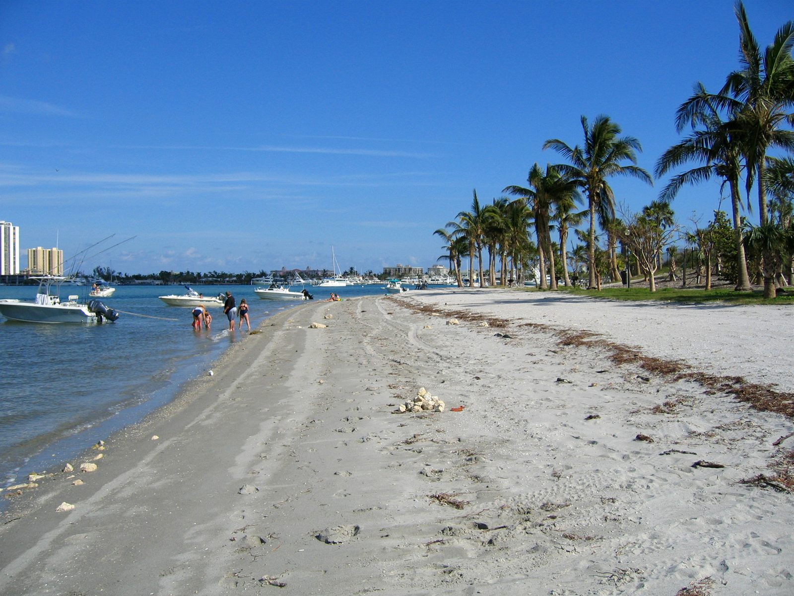 A sandy shoreline with palm trees and small boats anchored in calm water nearby